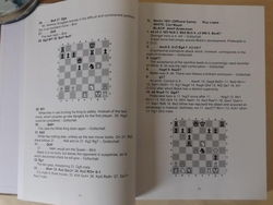 Robert Johnson - Adolf Anderssen - page 20/21