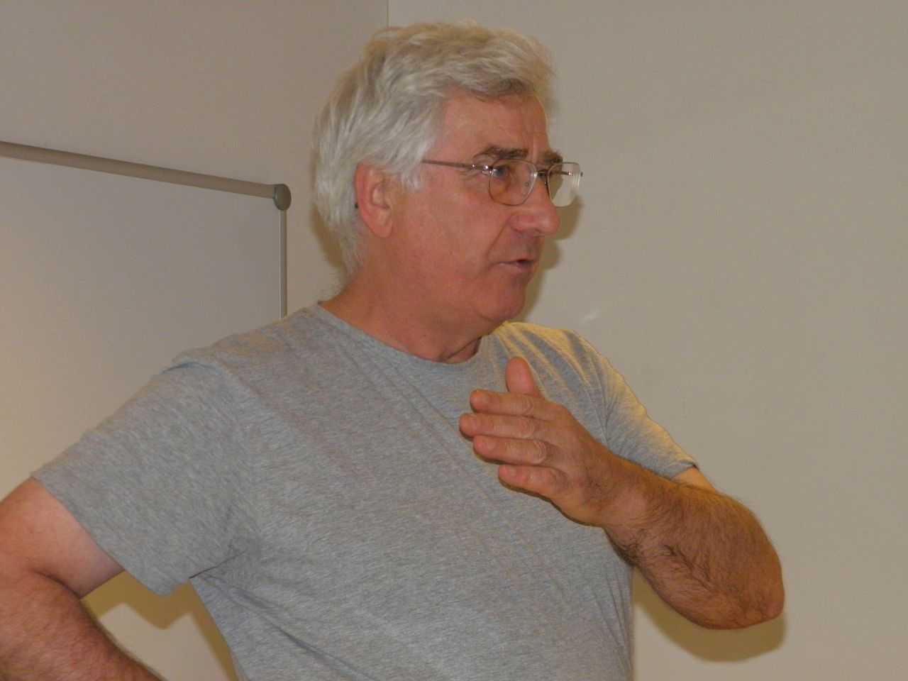 Tony Gillam, Vienna 2010