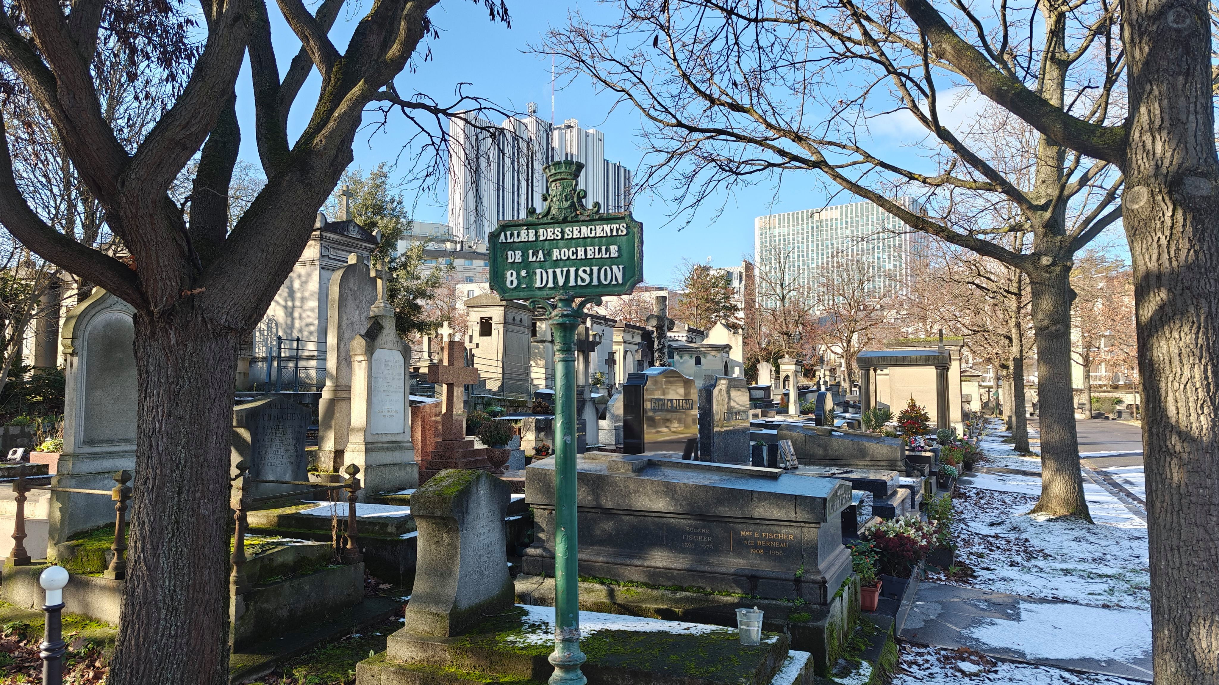 8th section 