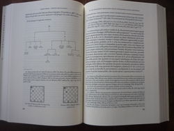 Dr. Diego D'Elia - Il codice Vittorio Emanuele 273 della Biblioteca Nazionale Centrale di Roma: analisi storico-culturale e codicologica - page 186/187