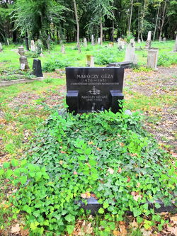 The grave of Géza Maróczy