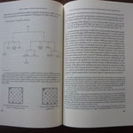 Dr. Diego D'Elia - Il codice Vittorio Emanuele 273 della Biblioteca Nazionale Centrale di Roma: analisi storico-culturale e codicologica - page 186/187
